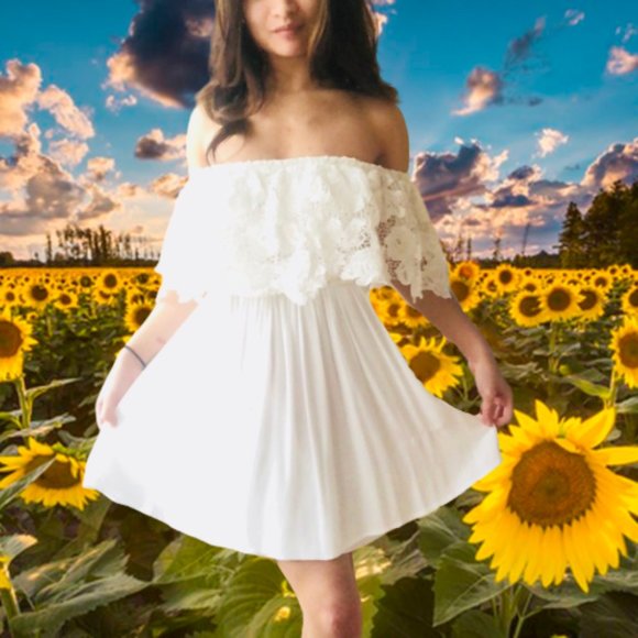 Francesca's Collections Dresses & Skirts - Romantic Lace Detail Dress